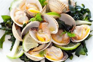 clam up